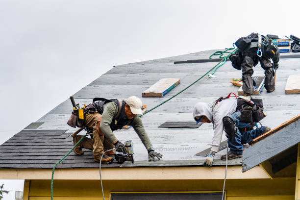 Professional Storm Damage Roof Repair technician working in De Soto, KS
